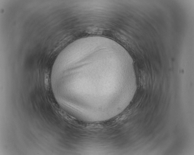 X0000065241154200603131056