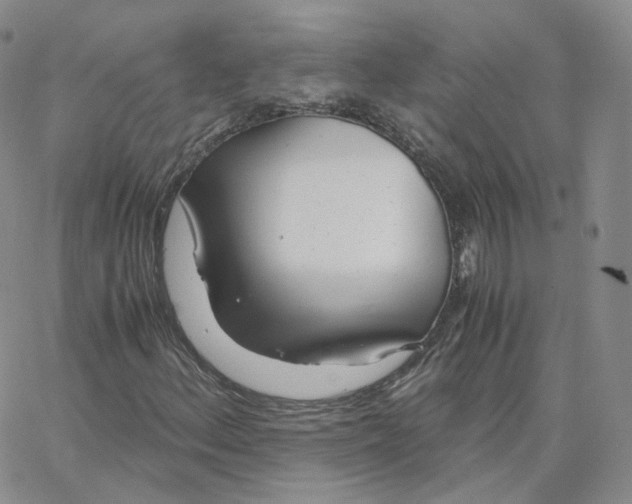 X0000065241156200603131056