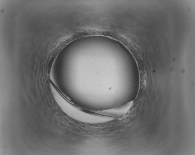 X0000065241157200603131056
