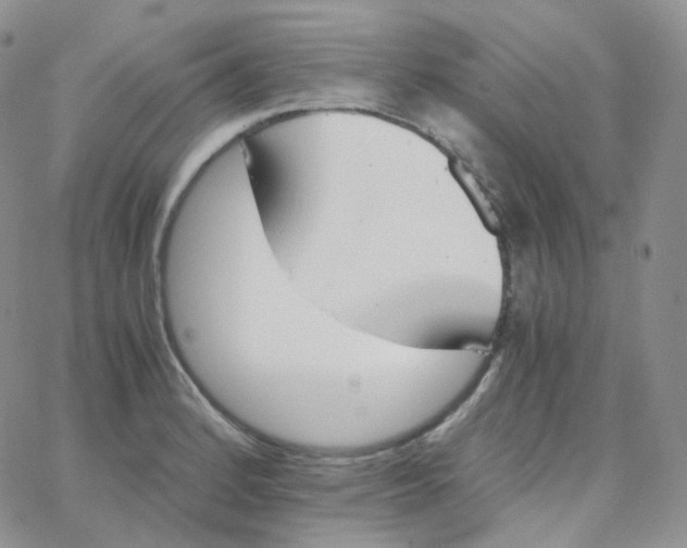 X0000065241184200603131055