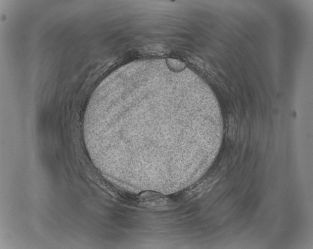 X0000065241201200603131054
