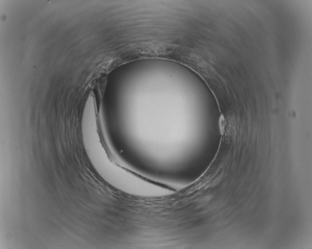 X0000065241202200603131054