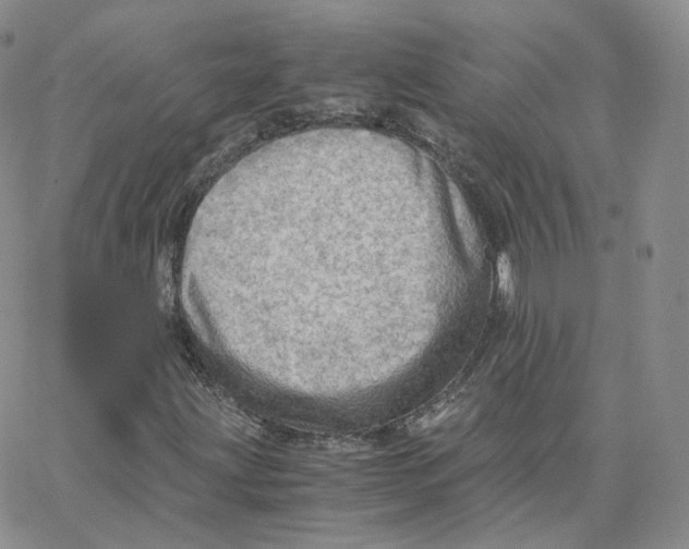 X0000065241203200603131054