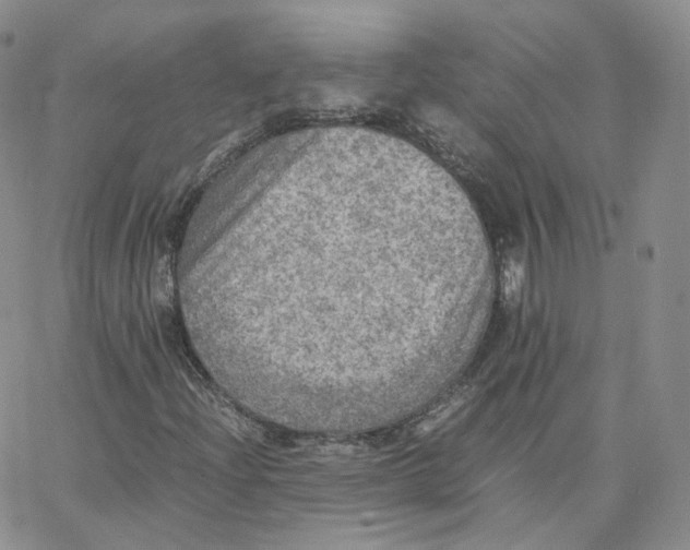 X0000065241204200603131054