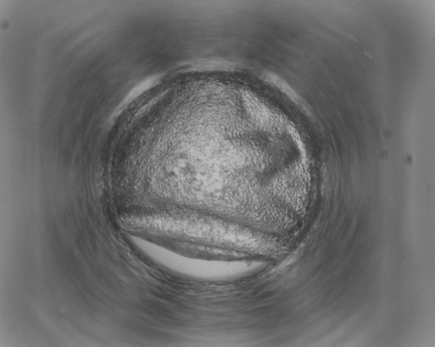 X0000065241213200603131054