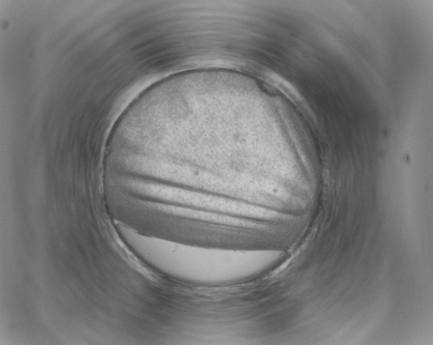 X0000065241236200603131055