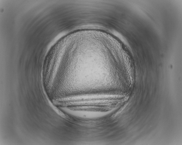 X0000065241237200603131055