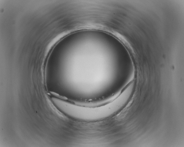 X0000065241238200603131055