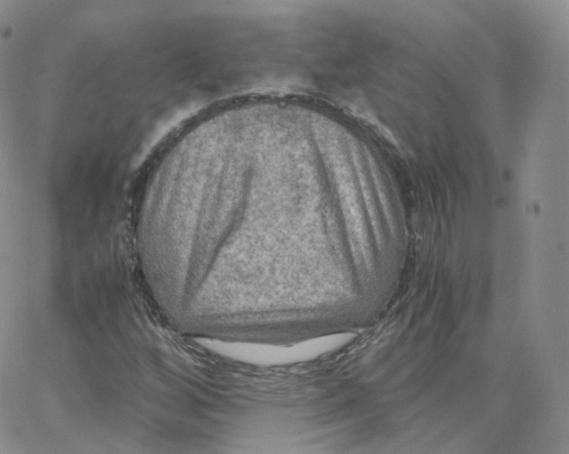 X0000065241256200603131054