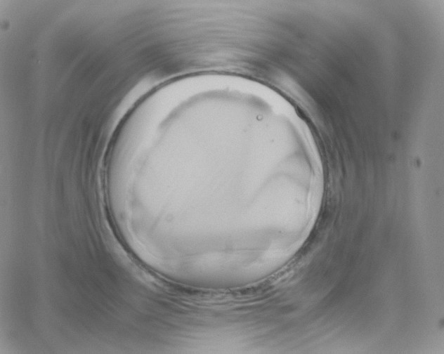 X0000065241291200603131053
