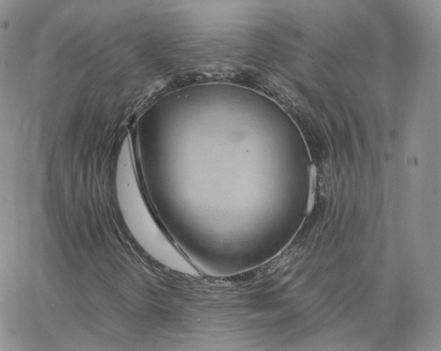 X0000065241298200603131053