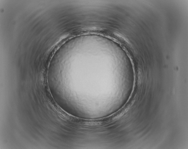 X0000065241305200603131053