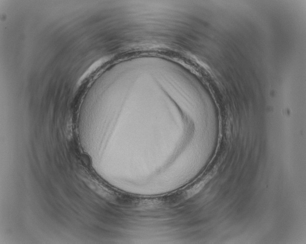 X0000065241306200603131053