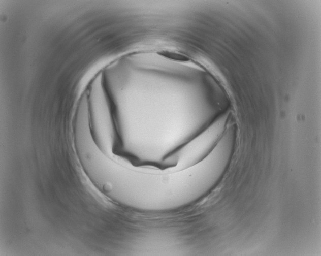 X0000065241344200603131053