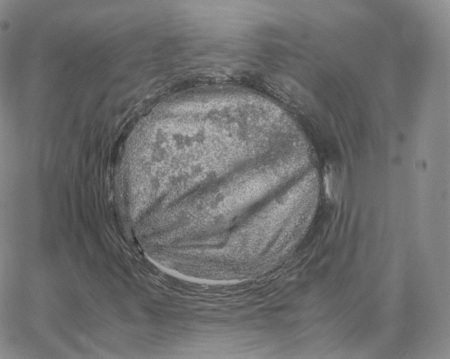 X0000065241347200603131052