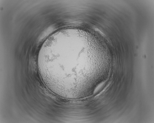 X0000065241354200603131052