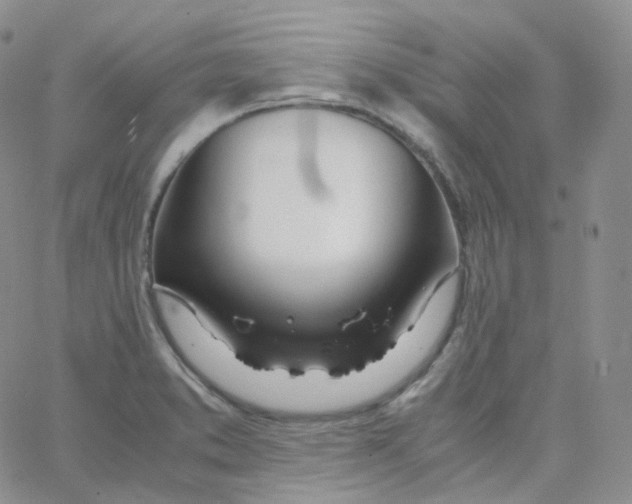X0000065241373200603131052