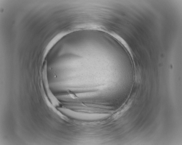 X0000065241389200603131052