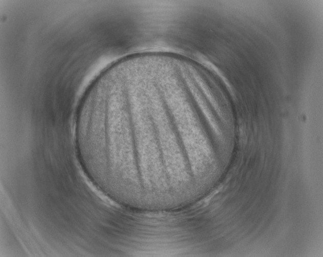 X0000065241416200603131051