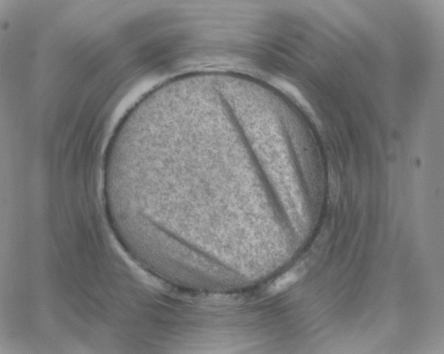 X0000065241424200603131051