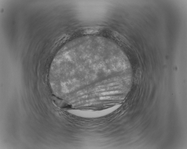 X0000065241441200603131051