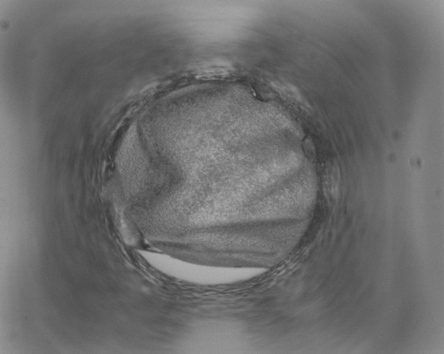 X0000065241445200603131051