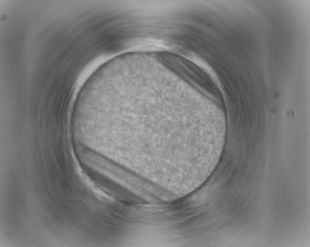 X0000065241488200603131050