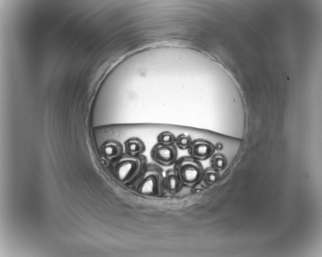 X0000065240001200603172150