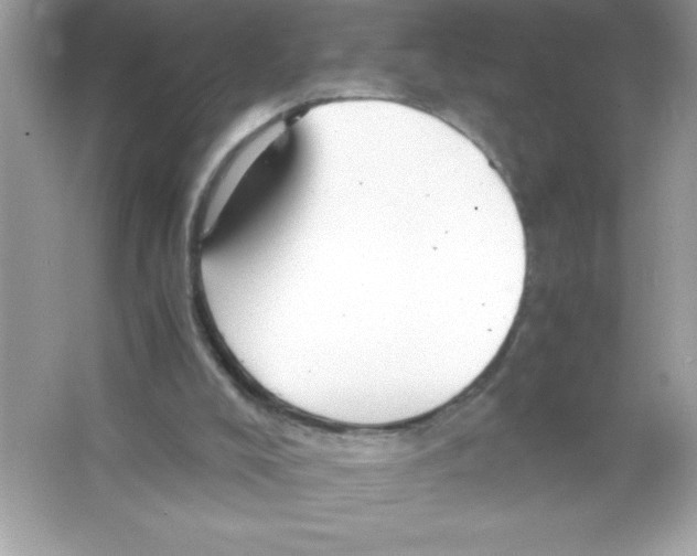 X0000065240008200603172150