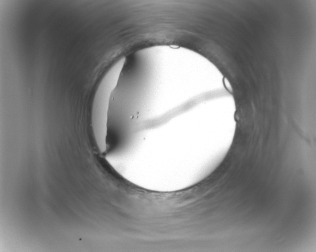 X0000065240023200603172150
