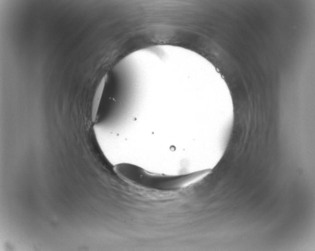 X0000065240031200603172150