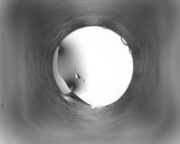X0000065240035200603172150