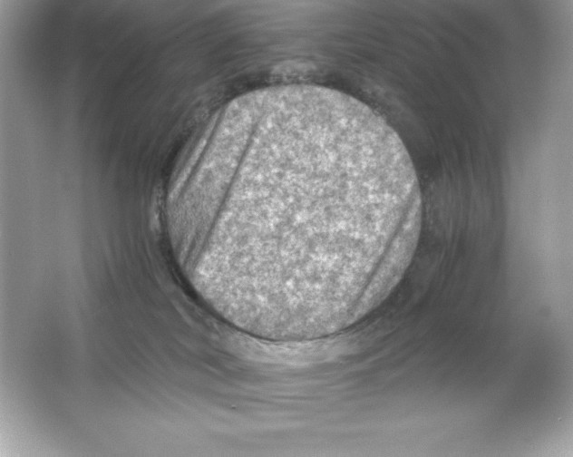 X0000065240038200603172150