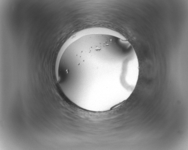 X0000065240039200603172150