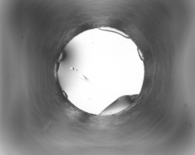 X0000065240041200603172149