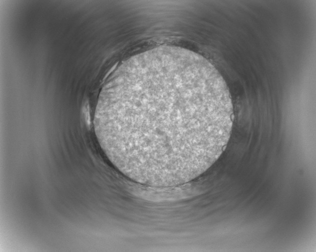 X0000065240042200603172149