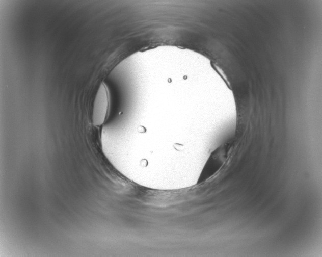 X0000065240045200603172149