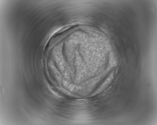X0000065240050200603172149