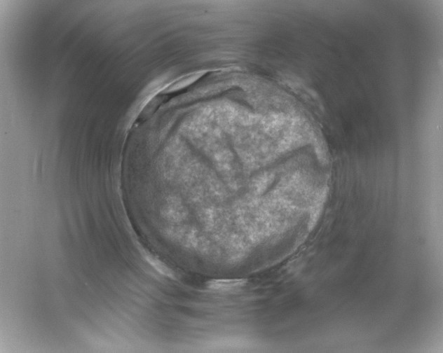 X0000065240051200603172149