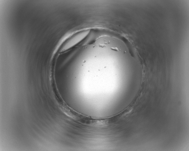 X0000065240056200603172149