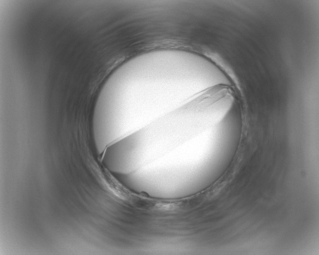 X0000065240057200603172149