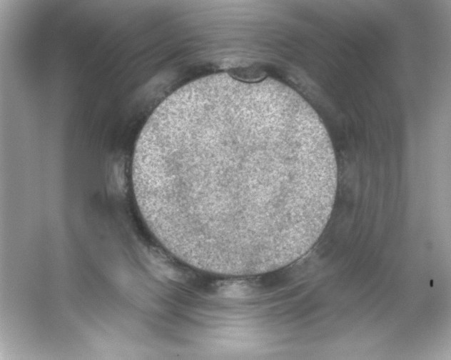 X0000065240074200603172149