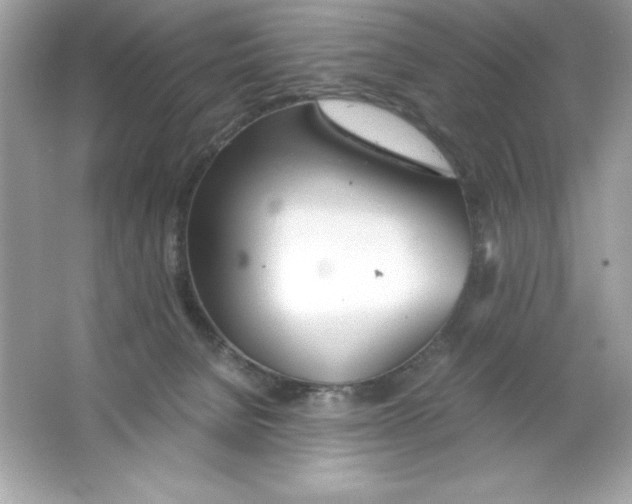 X0000065240080200603172149