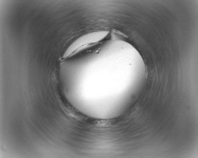 X0000065240088200603172149