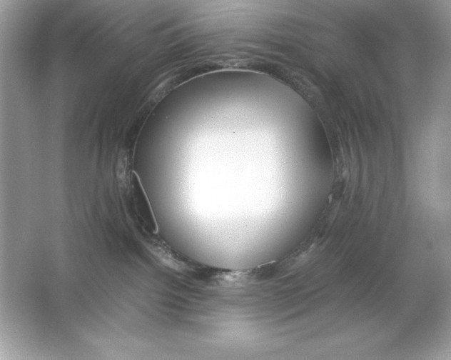 X0000065240092200603172149