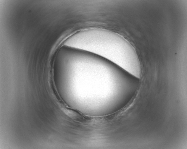 X0000065240101200603172148