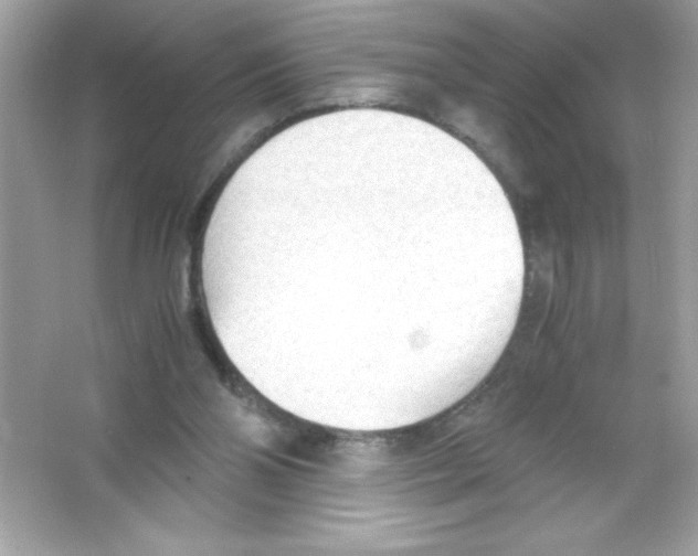 X0000065240110200603172148