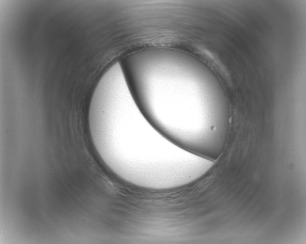 X0000065240113200603172148