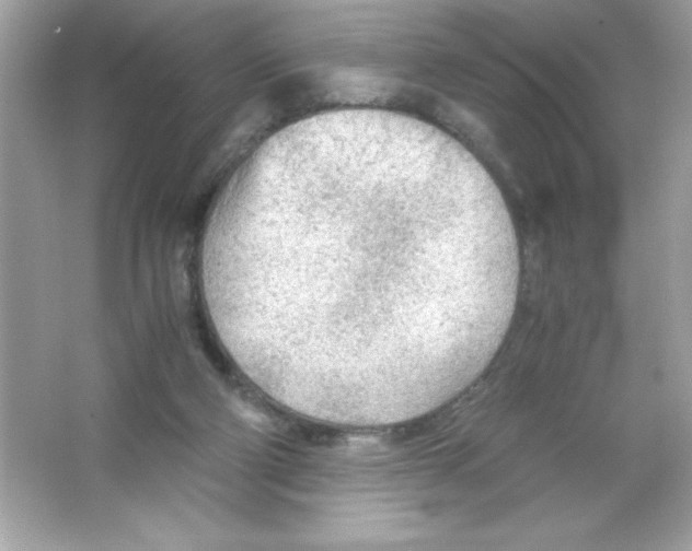 X0000065240114200603172148