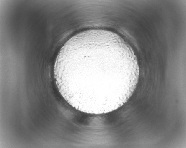 X0000065240115200603172148